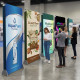 ExpoStands - Backing Doble 240 x 100 cm